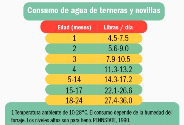 Durante los primeros días de la ternera, es importante el suministro de agua totalmente potable, para evitar la presentación de enfermedades. Foto: Tomada de Charla TvGan Colombia "Importancia del levante de las terneras" Ganadería, ganadería colombia, noticias ganaderas, noticias ganaderas colombia, CONtexto ganadero, calidad de agua, agua para terneras, cuidado de las terneras, liquidos para las terneras, cuidado de agua para terneras, suministro de agua para las terneras, diarreas en terneras, Diarrea neonatal bovina