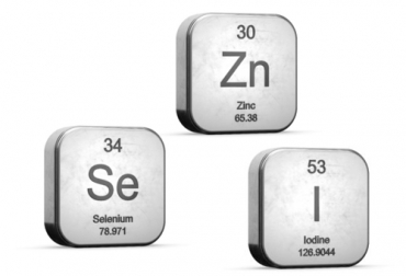 El Zinc, Selenio y yodo son nutrientes que ayudan a la vaca en sus periodos reproductivos. Foto: revistac2.com Ganadería, ganadería colombia, noticias ganaderas, noticias ganaderas colombia, CONtexto ganadero, minerales, minerales reproducción vaca, reproducción vaca, proceso reproductivo de la vaca, zinc, selenio, yodo, aportes de yodo en ganado, aportes de selenio en ganado, aportes de zinc en ganado, fósforo, aportes de fosforo en ganado