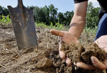Una de las recomendaciones de la experta es dejar de realizar quemas en la preparación del suelo porque afecta la materia orgánica. Foto: agroptima.com establecer pasturas y sistemas integrados agropecuarios de producción agropecuaria