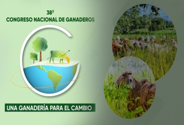 Diversos retos y expectativas quedaron luego del 38ª Congreso Nacional Ganadero en donde, una vez más, se demostró el empuje y el entusiasmo de la ganadería colombiana. Foto: congresoganadero.com Congreso Ganadero, exportaciones, sostenibilidad, Ganadería Colombiana Sostenible, reformas, seguridad, propiedad de la tierra, propiedad privada, narcotráfico, contrabando, sello de calidad, Colombian Beef Grass Fed CO, Procolombia, Minambiente, Fedegán, ganadería, ganadería colombia, noticias ganaderas Colombia, contexto ganadero