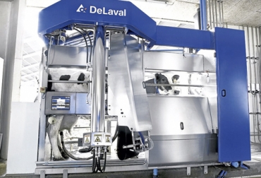 El ordeño mecánico, a través de un robot, ha permitido un mayor aprovechamiento de la producción lechera, manteniendo el bienestar animal. Foto: larepublica.co robot, ordeño, Agropecuaria 2G, trópico alto, trópico bajo, holstein, Simmental, botón de radiofrecuencia, producción promedio, ordeño mecánico, leche, pastoreo, Bienestar Animal, Tanques de enfriamiento, pasturas, Ganadería, ganadería colombia, noticias ganaderas colombia, CONtexto ganadero