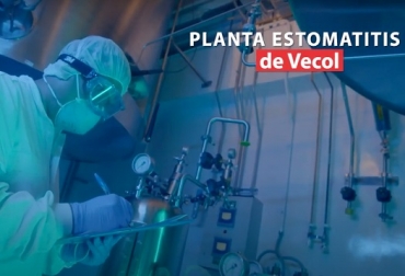 “señor ganadero, no hay que bajar la guardia, vacune todos sus animales para protegerlos y que el país conserve el estatus de país libre de fiebre aftosa con vacunación y por ende conseguir nuevos mercados para nuestros productos” afirma Claudio Bohorquez, supervisor técnico en Vecol S.A. Foto: Vecol SA Moderna Planta de Estomatitis de Vecol S.A., noticias ganaderas, noticias ganaderas Colombia, ganadería, ganadería Colombia, CONtexto ganadero