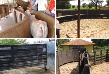 Los corrales etológicos son mejores para el manejo bovino. Foto: cipav.org.co Ganadería, ganadería colombia, noticias ganaderas, noticias ganaderas colombia, CONtexto ganadero, cercas vivas, protección del suelo, Conservación del agua, protección del agua, prácticas ganaderas, corrales en fincas, corrales etológicos, corrales de ganados, etología, beneficios corrales etologicos, ventajas corrales etologicos