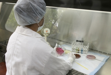 Una serie de requisitos deberán cumplir los laboratorios de diagnóstico veterinario, lo cual acarreará incremento en las tarifas y hasta aumento de la informalidad. Foto: ica.gov.co Laboratorio, diagnóstico, ICA, veterinario, exigencias, estándares internacionales, calidad, tarifas, confiabilidad, ganaderos, informalidad, acreditación, norma internacional, ONAC, sistema de gestión de calidad, Diarrea Viral Bovina, materiales de referencia, ganadería, ganadería colombia, noticias ganaderas Colombia, contexto ganadero