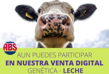 Este jueves se realiza la venta de pajillas de toros de llechería especializada para tener la mejor genética de diferentes razas. Foto: Cortesía pajillas, Almagán, ABS, venta virtual, Lechería especializada, grupos de whatsapp, listado de los toros, oferta genética, combos, termos, disponibilidad, Ayrshire, pardo suizo, Gyr, Girolando, Guzerat, holstein, jersey, Ganadería, ganadería colombia, noticias ganaderas colombia, CONtexto ganadero