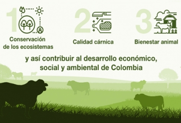 El modelo de ganadería sostenible que presentó el Grupo Éxito se une a la iniciativa que inicialmente desarrolló Fedegán para promover este tipo de carne. Foto: Cortesía Grupo Éxito, Ganadería Sostenible, carne, carulla, conservación, Bienestar Animal, proveedores, CIAT, ganso, WWF, ecosistemas, Medio Ambiente, sostenibilidad, monitoreo, deforestación, inocuidad, Trazabilidad, Ganadería, ganadería colombia, noticias ganaderas colombia, CONtexto ganadero
