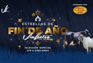 “Las estrellas de fin de año de Vía Láctea” se subastarán hoy jueves ofreciendo grandes animales de las razas gyr y girolando para mejorar la genética de los hatos. Foto: Cortesía remate, Gyr, Girolando, Agropecuaria Vía Láctea, Ganadería San Diego, Ganadería Nueva Era, hembras preñadas, vacas, terneras, Genética, leche, conformación corporal, aplomos, amplitud de costillas, Ganadería, ganadería colombia, noticias ganaderas colombia, CONtexto ganadero