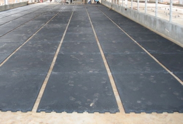 El suelo de goma o hule se ha convertido en la mejor alternativa al piso de cemento para brindar confortabilidad a las vacas. Foto: agriexpo.online