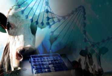 Los registros genealógicos entregados por las diferentes asociaciones de raza certifican la pureza de los animales y son una garantía para su comercialización. Foto: freepik.es / wirestock - kjpargeter Libros de registro, genealogía, razas puras, cruces, certificación, respaldo, comercialización, progenie, trazabilidad genética, vacas fundadoras, ganadería de selección, jersey, holstein, cebú, pardo suizo, Simmental, brahman, Gyr, Guzerá, Nelore, Indubrasil, Sardo Negro, simbrah, Simmcebú, Braunvieh, Ganadería, ganadería colombia, noticias ganaderas colombia, CONtexto ganadero