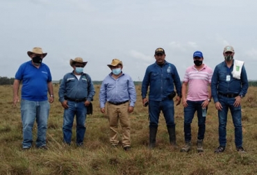 En la alianza entre Fedegán y Agrosavia para implementar sistema agro silvpastoriles se comenzaron a hacer algunas visitas en diferentes municipios del departamento del Meta. Foto: Cortesía Agrosavia, Fedegán, sorgo forrajero, pasturas, brachiaria, Meta, agro silvopastoriles, productores, suplementación, temporada seca, exceso de lluvias, ensilaje, alimentación, alcaldía, maquinaria, San Carlos de Guaroa, Barranca de Upía, ganadería, ganadería Colombia, noticias ganaderas Colombia, contexto ganadero