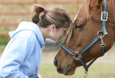La equinoterapia debe emplearse por profesionales terapeutas y psicológos. Foto: di-capacitados.com Ganadería, ganadería colombia, noticias ganaderas, noticias ganaderas colombia, CONtexto ganadero, equinoterapia, terapia con caballos, terapia con equinos, equinoterapia para problemas psicológicos, caballos para problemas psicológicos, caballos para problemas emocionales