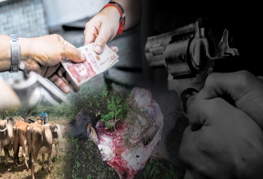 Varios representantes de los ganaderos en las distintas regiones coincidieron en que la inseguridad está a niveles alarmantes. Foto: elheraldo.co - alertapaisa.com - elheraldo.co - Fedegán Ganadería, ganadería colombia, noticias ganaderas, noticias ganaderas colombia, CONtexto ganadero, Ganadería Sostenible, inseguridad, problema de inseguridad en colombia, inseguridad en el campo, problema de inseguridad en el campo, Abigeato, ley del abigeato en colombia, Abigeato en Colombia, carneo, carneo en Colombia, extorsiones ganaderos, extorsiones ganaderos en colombia, muerte de ganaderos en colombia, amenazas a ganaderos en colombia, sistema judicial colombiano