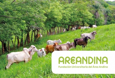 Fedegán y el Areandina tienen oficiamente el program de Tecnología en Producción de Ganadería Sostenible. Foto: fontagro.org - areandina.edu.co Ganadería, ganadería colombia, noticias ganaderas, noticias ganaderas colombia, CONtexto ganadero, fedegan, formación academica, fedegan y fundación universitaria área andina, alianza entre fedegan y área andina, profesionales, formación de profesionales agropecuarios, academia en ganaderia, 38 congreso nacional de ganaderos, lanzamiento alianza entre fedegán y fundación universitaria área andina, Tecnología en Producción de Ganadería Sostenible