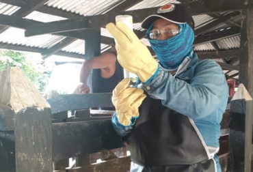 El próximo 10 de mayo se inicia el primer ciclo de vacunación contra la aftosa y la brucelosis por lo que los ganaderos deben prepararse y llevar a cabo esta tarea para tener un hato sano. Foto: Fedegán FNG vacunación, Fiebre aftosa, Brucelosis Bovina, rabia de origen silvestre, primer ciclo, ganaderos, fedegan, OEGA, ICA, zona libre, zonas de riesgo, vacuna bivalente, hembra bovina, bufalinos, rutas de vacunación, alto riesgo de ocurrencia, municipios de frontera, aplicación, registro, Ganadería, ganadería colombia, noticias ganaderas colombia, CONtexto ganadero