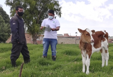 Plantear escenarios de mejoramiento productivo que permita modelos ganaderos sean sostenibles, es el propósito del proyecto que se desarrolla en Cundinamarca. Foto: Cortesía Sostenibilidad, Cundinamarca, Fedegán, FNG, Gobernación, alcaldías, Gases de Efecto Invernadero, CO2, Secretaría de Ambiente, Chocontá, Villapinzón, Sesquilé, Cucunubá, Sibaté, Subachoque, Suesca, Mosquera, Ubaté, Zipaquirá, línea base productiva, ambiental, económica, modelos productivos, diagnóstico, gestores de información, modelación, simulaciones, ganadería, ganadería Colombia, noticias ganaderas Colombia, contexto ganadero