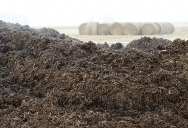 La empresa israelí convierte las excreciones en fertilizantes orgánicos ricos en potasio. Foto: Ganadería, ganadería colombia, noticias ganaderas, noticias ganaderas colombia, CONtexto ganadero, producción ganadera, producción ganadera sostenible, estiércol, conversión del estiércol, estiércol bovino en fertilizante, fertilizantes orgánicos