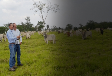 En cinco pasos expertos resumen lo que se puede hacer para planificar la mejor manera de establecer la carga animal en la finca. Foto: procampo.com.ec - abc.com.py Planificación, carga animal, sostenibilidad, silvopastoriles, uso del suelo, CIAT, Minagricultura, bioversity international, mapas, carne, leche, aptitud, bosque, conservación, fuentes de agua, áreas para cultivos, ordeño, Infraestructura, Bancos forrajeros, pastoreo, lotes, vocación del ganado, captación, tratamiento, uso, distribución del agua, recurso forrajero, rotaciones, reposo, Ganadería, ganadería colombia, noticias ganaderas colombia, CONtexto ganadero