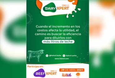 Italcol cree que el productor debe enfocar su atención en estas acciones, en aras de lograr la eficiencia deseada. Foto: Cortesía. Ganadería, ganadería colombia, noticias ganaderas, noticias ganaderas colombia, CONtexto ganadero, italcol, italcol lechería, I Seminario Internacional Dairy Xpert, dairy xpert italcol, seminario italcol, italcol colombia, Eventos ganaderos, rentabilidad lechera, indicadores productivos de la leche, mejorar los indicadores productivos de la leche, qué hacer para ser eficiente en lecheria, lecheria eficiente