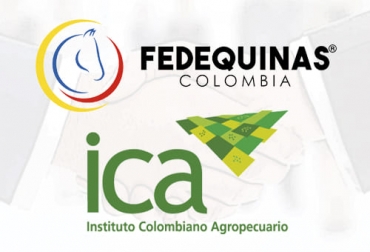 Gracias al trabajo conjunto entre ICA y Fedequinas, se ha avanzado en los protocolos para exportar semen de caballo criollo colombiano. Foto: fedequinas.org - ica.gov.co - adslzone.net Exportación caballo criollo colombiano 2021, caballo criollo Colombia, Caballo Criollo Colombiano, raza caballo criollo colombiano, caballo paso fino colombiano, caballo trocha colombiano, caballo trocha y galope colombia, caballo trote y galope colombia, ganaderos, ganaderos colombia, ganado, vacas, vacas Colombia, bovinos, ganado bovino, Ganadería, ganadería colombia, noticias ganaderas, noticias ganaderas colombia, CONtexto ganadero, contextoganadero