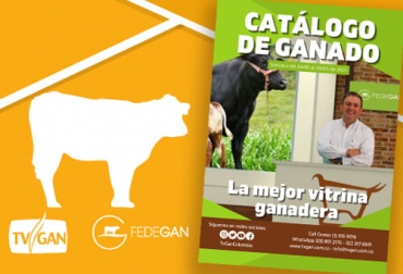 Esta semana en el catálogo de TVGan encuentran animales de diferentes razas a los mejores precios para fortalecer los hatos. Foto: Cortesía TVGan, catálogo, fotos, razas, tipo de ganado, color, edad, sexo, peso, ubicación, precios, comercialización, torete, gyr, girolando, holstein, cebú, novillos, terneras destetas, leche, ganadería, ganadería Colombia, noticias ganaderas Colombia, contexto ganadero