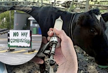 La falta de combustible en muchas regiones del país, a causa de los bloqueos, hará que en algunas zonas no se pueda iniciar el ciclo de vacunación este lunes. Foto: UAdeC - diariolalibertad.com bloqueos, paro, protestas, Ciclo de Vacunación, riesgo, combustible, Vacunadores, escasez, alimento, insumos, estatus sanitario, aftosa, Huila, Tolima, cuajada, colaboradores, ingresos, Ganadería, ganadería colombia, noticias ganaderas colombia, CONtexto ganadero