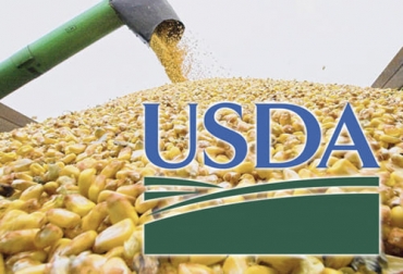 Aun antes de la publicación del informe del USDA, el precio del maíz se redujo del máximo histórico que alcanzó el pasado viernes 7 de mayo. Foto: agroverdad.com.ar Precio maíz 2021, precio maíz mayo 2021, maíz, informe USDA maíz, alimentos balanceados, precio maíz Colombia, Costos de Producción, lechería, materias primas, USDA, estados unidos, Verano, demanda, dólar, mercados internacionales, ganaderos, ganaderos colombia, ganado, vacas, vacas Colombia, bovinos, ganado bovino, Ganadería, ganadería colombia, noticias ganaderas, noticias ganaderas colombia, CONtexto ganadero, contextoganadero