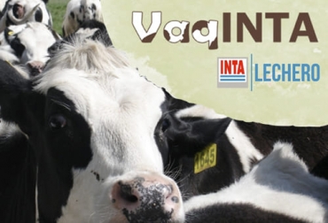VaqINTA es la herramienta diseñada por el Inta para que el ganadero pueda hacer análisis antes de tomar decisiones. Foto: intainforma.inta.gob.ar - infortambo.com INTA, herramienta informática, análisis, cría, recría, esquemas productivos, sistematización, información, datos, VaqINTA, estructura, mano de obra, alimentación, sanidad, reproducción, indicadores productivos, ganancia de peso, morbilidad, edad al primer servicio, Ganadería, ganadería colombia, noticias ganaderas colombia, CONtexto ganadero
