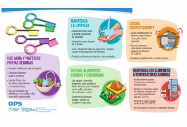 Los materiales educativos y la capacitación virtual para manipuladores de alimentos están abiertos para el público en el Campus Virtual de Salud Pública de la OPS. Foto: Captura banner OPS inocuidad alimentaria, alimentos, enfermedades transmitidas por alimentos, 5 claves fundamentales, pandemia de la COVID-19, Organización Panamericana de la Salud (OPS), PANAFTOSA, Airbnb, materiales didácticos vacas, vacas Colombia, lechería, bovinos, ganadería bovina, ganadería bovina Colombia, noticias ganaderas, noticias ganaderas Colombia, contextoganadero