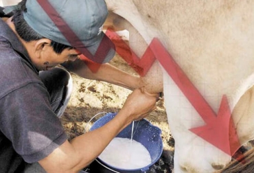 El precio de la leche ha disminuido de forma inimaginable en Caquetá, razón por la que los productores están en una crisis económica preocupante. Foto: agriculturayganaderia.com Ganadería, ganadería colombia, noticias ganaderas, noticias ganaderas colombia, CONtexto ganadero, paro nacional, desabastecimiento alimentos, paro nacional 2021, bloqueos de vías paro, bloqueo de vías 2021, pérdidas ganaderas, pérdidas ganaderas por el paro pérdidas ganaderas por los bloqueos, pérdidas ganaderas en Caquetá, aumento insumos en caquetá, escasez de insumos en caquetá, precio leche en Caquetá, perdidas ganaderas en Caquetá