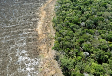 En 2020 volvió a aumentar la cifra de deforestación en Colombia aunque la lucha continúa con proyectos como la siembra de millones de árboles. Foto: elpais.com deforestación, MinAmbiente, IDEAM, AMAZONía, Meta, caquetá, Guaviare, Guanía, Vaupés, Putumayo, amazonas, Chocó, cambio de tendencia, Cartagena del Chairá, Tibú, El Retorno, parques nacionales naturales, Parque Natural Serranía de La Macarena, Parque Natural La Paya, Parque Natural Tinigua, praderización, usurpación, acaparamiento, tierras, ganadería extensiva, infraestructura de transporte no planificada, extracción ilícita de minerales, extracción ilegal de madera, ampliación de la frontera agrícola, cult