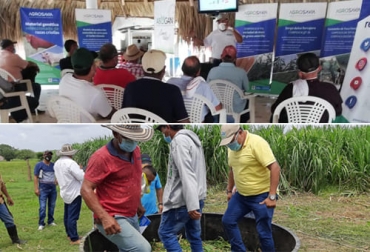 Las capacitaciones se están llevando a cabo en la región de Córdoba en los municipios de Lorica, Tierralta, Chinú y Planeta Rica. Foto: Cortesía ganadería, ganadería colombia, noticias ganaderas, noticias ganaderas colombia, contexto ganadero, transferencia de conocimiento en Córdoba, capacitaciones en Córdoba, ganaderos de Córdoba, Agrosavia, Fedegán