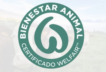 El sello de certificación de bienestar animal Welfair es reconocido en la Unión Europea y empieza ganar espacio en Suuamérica. Foto: @Welfair_Animal certificación, Bienestar Animal, Welfair, unión europea, Irta, Instituto Vasco de investigaciones agrarias, creadores, impulsores, aval científico, Portugal, Chile, auditorias, protocolos, Alimentos, cadena de valor, libertad de elección, empatía, compras, Trazabilidad, holístico, confianza, investigación, Ganadería, ganadería colombia, noticias ganaderas colombia, CONtexto ganadero