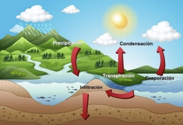 Uno de los expertos menciona que poco se habla del ciclo del agua, siendo este tan importante para la descompactación del suelo. Foto: encolombia.com ganadería, ganadería colombia, noticias ganaderas, noticias ganaderas colombia, contexto ganadero, producción ganadera, producción ganadera sostenible, ganadería regenerativa, avances en la ganadería regenerativa, qué hacer en ganadería regenerativa