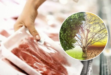 La manera más responsable de brindarle al consumidor lo que pide es cambiando la forma de producir los alimentos. Foto: lavanguardia.com - stopcambioclimatico.azurewebsites.net ganadería, ganadería colombia, noticias ganaderas, noticias ganaderas colombia, contexto ganadero, producción ganadera, producción ganadera sostenible, ganadería regenerativa, avances en la ganadería regenerativa, consumo de carne, producción de carne sostenible