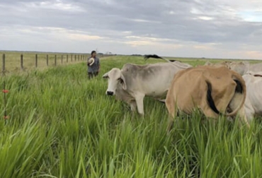 La ganadería del futuro está vista bajo la integración de factores como el suelo, las plantas, los ganados y el hombre. Foto: agronegocios.uniandes.edu.co ganadería, ganadería colombia, noticias ganaderas, noticias ganaderas colombia, contexto ganadero, producción ganadera, producción ganadera sostenible, ganadería regenerativa, avances en la ganadería regenerativa, qué hacer en ganadería regenerativa