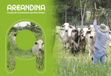El técnico profesional en producción de ganadería sostenible cuenta con cuatro semestres y abre sus inscripciones para todos los interesados. Foto: Cortesía Ganadería, ganadería colombia, noticias ganaderas, noticias ganaderas colombia, CONtexto ganadero, fedegan, formación academica, fedegan y fundación universitaria área andina, alianza entre fedegan y área andina, profesionales, formación de profesionales agropecuarios, academia en ganaderia, 38 congreso nacional de ganaderos, lanzamiento alianza entre fedegán y fundación universitaria área andina, Tecnología en Producción de Ganadería Sostenible, relevo generacional, jóvenes en el campo, nuevas generaciones