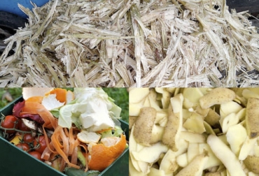 Cuando la oferta de forraje para su ganado esté escasa, usted puede agregar urea a diversos residuos o subproductos y convertirlos en una excelente alternativa nutricional para su ganado. Foto: residuosprofesional.com - ecologiahoy.net - cocinadelirante.com Amonificación residuos de cosecha, amonificación, amonificación alimento ganado, Alimentación para el ganado, amoniaco, úrea, Residuos de cosecha, Arroz, sorgo, maíz, frutas, verduras, alimento para el ganado, suplementación para ganado bovino, ganado bovino, ganadería bovina, ganaderos, ganaderos colombia, ganado, vacas, vacas Colombia, bovinos, Ganadería, ganadería colombia, noticias ganaderas, noticias ganaderas colombia, CONtexto ganadero, contextoganadero