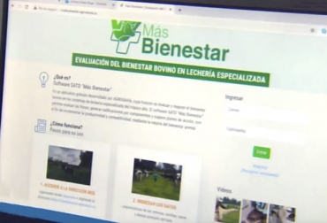 Por medio del software Más Bienestar, Agrosavia busca apoyar a los ganaderos de leche a tener mejores resultados en sus hatos. Foto: Captura de pantalla del video youtube.com/watch?v=TpVH9-sMY_g del canal de youtube TvAgro software, Producción, sanidad, calidad, Bienestar Animal, bovinos, especies pecuarias, mejoramiento, Mas Bienestar, investigación, trópico alto, Sabana de Bogotá, condición corporal, diseño de instalaciones, prevención de mastitis, cojeras, control de moscas, enfermedades, Agua, alimento, registros, terneras, vacas, ordeño, estrés, salud podal, pezuñas, Ganadería, ganadería colombia, noticias ganaderas colombia, CONtexto ganadero