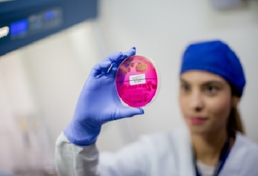 El ICMT también cuenta con la autorización sanitaria por parte del Invima, para fabricar y comercializar productos. Foto: ICMT U CES, registro ICA, Laboratorio Diagnóstico Veterinario ICMT, Laboratorios de diagnóstico veterinario, pruebas de bacteriología, parasitología y serología, Invima, vacas, vacas Colombia, lechería, bovinos, ganadería bovina, ganadería bovina Colombia, noticias ganaderas, noticias ganaderas Colombia, contextoganadero