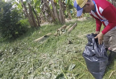Para el ensilaje con matarratón se necesita que luego del proceso, se deje 60 días de fermentación y así brindarlo a los bovinos. Foto: Captura de pantalla del video youtube.com/watch?v=ILs-yixVkiE del canal de youtube Julio Estrada Ganadería, ganadería colombia, noticias ganaderas, noticias ganaderas colombia, CONtexto ganadero, matarratón, Harina de Matarratón, preparación harina de hojas de matarratón, matarratón para los bovinos, ensilaje de matarratón para bovinos, preparación ensilaje de matarratón para los bovinos, tallos del matarratón