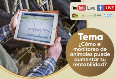 Conozca las posibilidades que ofrece el monitoreo del hato usando diversas herramientas tecnológicas. Foto: Cortesía. Ganadería, ganadería colombia, noticias ganaderas, noticias ganaderas colombia, CONtexto ganadero, monitoreo, monitoreo animal, ventajas del monitoreo animal, cómo monitorear vacas, beneficios del monitoreo de vacas,
