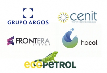 El sector privado está comprometido con la siembra de árboles en el país y prueba de ello es que ya van más de 12 millones. Foto: grupoargos.com - ecopetrol.com.co - qhsegroup.com - fronteraenergy.ca - hocol.com.co Siembra, árboles, Minambiente, Gobierno Nacional, contador de árboles, Grupo Empresarial Argos, Grupo Ecopetrol, Cenit, Frontera Energy Colombia, Hocol, Federación Nacional de Cafeteros, Fedegán, Asocaña, Fedepalma, Porkcolombia, Ejército, gobernaciones, alcaldías, ONG, Corporaciones Autónomas Regionales, cooperación internacional, comunidades, empresas, sostenibilidad, recursos naturales, ganadería, ganadería Colombia, noticias ganaderas Colombia, contexto ganadero