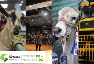Agroexpo 2021. Foto: Corferias. Agroexpo 2021, programación, conferencias, vacas, vacas Colombia, lechería, bovinos, ganadería bovina, ganadería bovina Colombia, noticias ganaderas, noticias ganaderas Colombia, contextoganadero