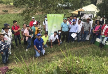 Por medio de la alianza entre Agrosavia y Fedegán-FNG los productores del Caribe pueden acceder a capacitaciones sobre tecnologías que les permitirá ser más productivos, competitivos y rentables. Foto: Cortesía Ofertas tecnológicas, Agrosavia, región Caribe, alianza estratégica, Fedegán – FNG, planes de vinculación, agremiaciones, Asogasucre, Días de campo, productores, San Luis de Sincé, San Onofre, Sincelejo, San Pedro. Turbaco, Arjona, San Juan Nepomuceno, Mompox, Santa Rosa del Sur, establecimiento, manejo, conservación, cultivos forrajeros, agrosavia sabanera, Sorgo Dulce Forrajero JJT-18, Maíz Corpoica V-114, Yuca Forrajera Corpoica SM 2081, producción de carne, producción de leche, Romosinuano, Banco Agrari
