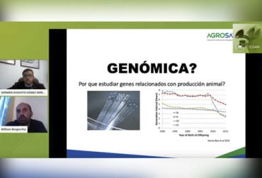 La genómica es una herramienta importante para que el ganadero pueda ser más productivo y rentable. Foto: Cortesía Genómica, rentabilidad, hato, genética, información, datos, herramienta, precisión, selección, Agrosavia, Asocebú, confiabilidad, intervalo generacional, valores genéticos, gestión administrativa, programación de apareamientos, toro, prueba de progenie, fenotipo, pruebas de desempeño, Diferencia Esperada de Progenie, costos de producción, ganadería, ganadería Colombia, noticias ganaderas Colombia, contexto ganadero