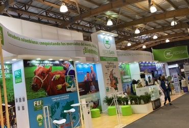 Los stands 202 y 210 en el nivel dos del Pabellón 3 sirven de escenario para que Fedegán-FNG socialice con los visitantes todas sus líneas de trabajo y programas. Hoy 27 de octubre Fedegan realizará la conferencia presencial (2:00 P.M.) “La ganadería sostenible, un negocio rentable hacia los mercados diferenciados” y celebrará los 10 años de TVGAN (5:00 P.M.). Foto: Cortesía Fedegán en Agroexpo, FNG, Sanidad Animal, Ganadería Colombiana Sostenible, Mejoramiento genético, sellos de calidad, FEP, CONtexto Ganadero, La Vaca Ana, Fundagán, Subastas por televisión, Fundagán, vacas, vacas Colombia, lechería, bovinos, ganadería bovina, ganadería bovina Colombia, noticias ganaderas, noticias ganaderas Colombia, contextoganadero