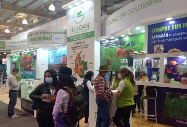 Toros tanto nacionales como internacionales de ABS y Almagán estarán durante la feria con descuentos que oscilan entre el 20 y 30 %. Foto: Fedegán Almagán, ABS Colombia, asesoría, Agroexpo, gratis, stand, pabellón, fedegan, FNG, Feria, técnicos, Genética, razas, animales, adaptabilidad, condiciones, predio, finca, rentabilidad, desempeño, cría, ceba, levante, carne, leche, doble propósito, mejoramiento genético, negocio, Portafolio, toros, pajillas, descuentos, Ganadería, ganadería Colombia, noticias ganaderas Colombia, CONtexto ganadero