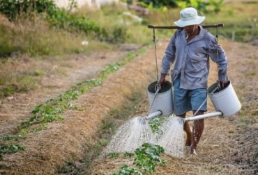 Los productores del campo también se ven afectados por problemas de salud mental como el estrés y por eso es importante estar atentos a cualquier síntoma. Foto: sac.org.co salud mental, agricultores, ganaderos, productores, depresión, Cambio climático, enfermedades, insectos, cultivos, precios, acceso limitado, atención médica, zonas rurales, ansiedad, MinSalud, OMS, discapacidad, corteva agriscience, estrés, dormir, cansancio, desgano, actividades cotidianas, irritabilidad, hambre, pérdida de apetito, pérdida de peso, aislamiento social, Ganadería, ganadería colombia, noticias ganaderas colombia, CONtexto ganadero