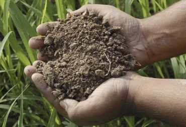 Según el experto, en Colombia los productores hacen poco uso de productos como la enmienda debido a que no se cuida el suelo y solo se hace cuando ya no hay remedio. Foto: jardineriaon.com ganadería, ganadería colombia, noticias ganaderas, noticias ganaderas colombia, contexto ganadero, fertilizantes para suelos, enmiendas para suelos, enmiendas para suelos acidos, fertilizantes para suelos acidos, utilizacion de fertilizantes para suelos en Colombia