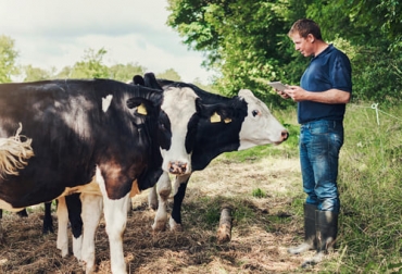 El profesional menciona tres dimensiones importantes que no deben olvidarse en el bienestar animal: salud y funcionamiento, vida natural y estados afectivos. Foto: aecoc.es Ganadería, ganadería colombia, noticias ganaderas, noticias ganaderas colombia, CONtexto ganadero, Bienestar Animal, bienestar animal en Colombia, principios de bienestar animal, dimensiones de bienestar animal, aspectos claves en el bienestar animal